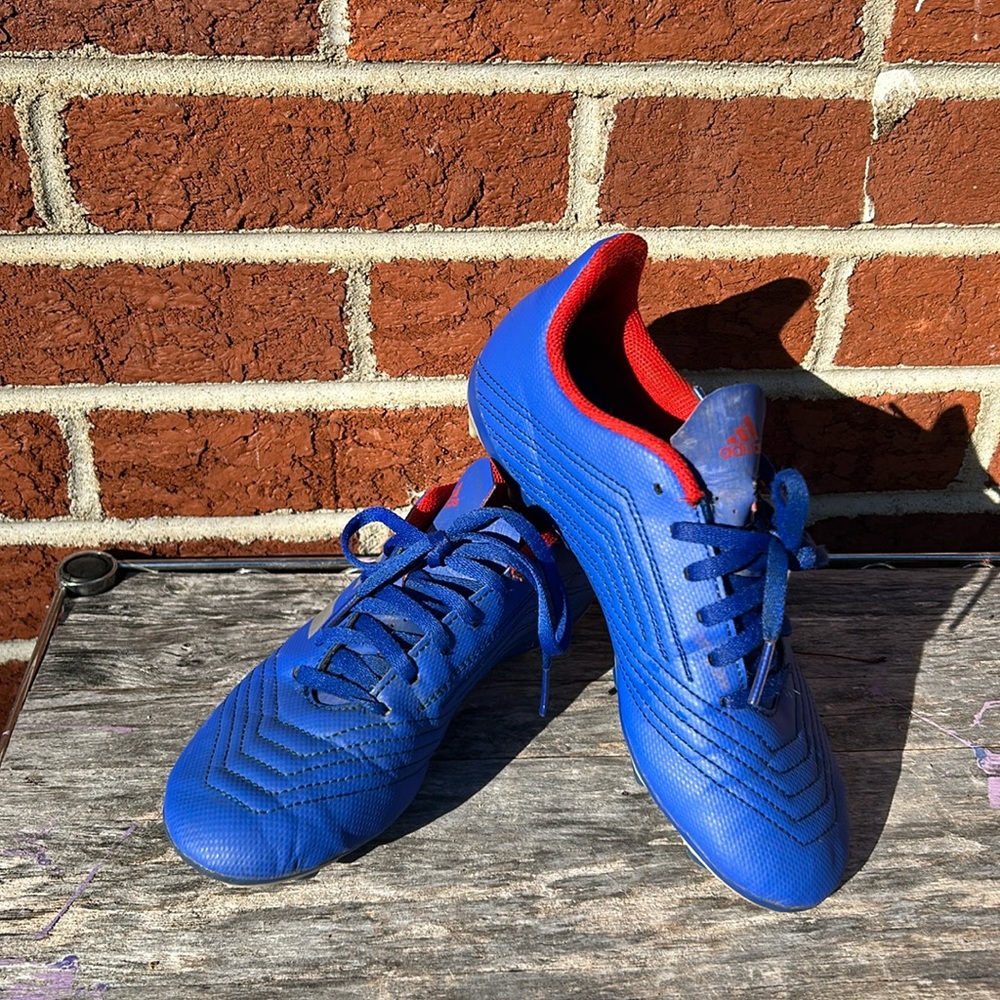 adidas Kids Blue and Red Sneakers
